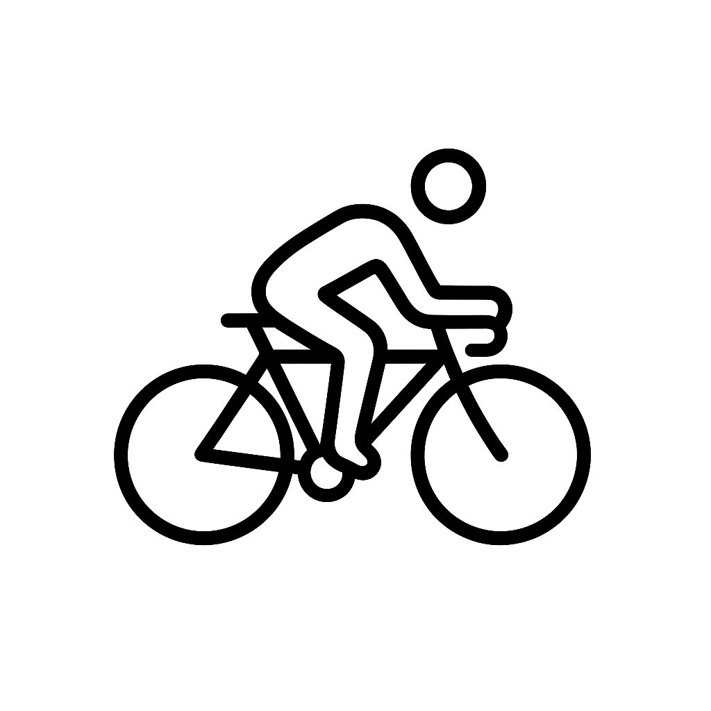 Icon Komfort Rennrad